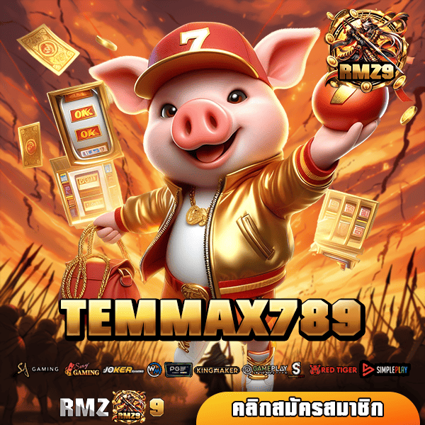 TEMMAX789 เว็บตรงรวมทุกค่ายดัง กระเป๋าเดียว ดีที่สุด 2025